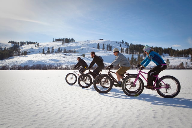 Visit Montréal Electric Fat Tire Bike Ride on Mount Royal in Montreal, Quebec