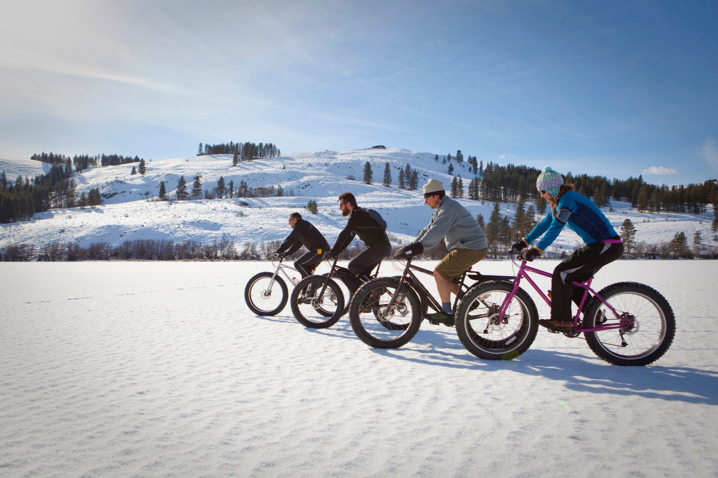 Montréal: Elektrische Fat Tire Bike Fahrt auf dem Mount Royal