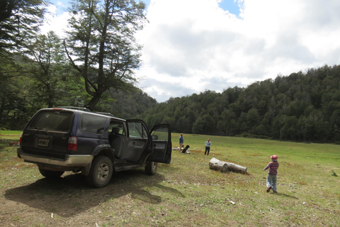 San Martín de los Andes: a 4x4 guided tour to the Mallin