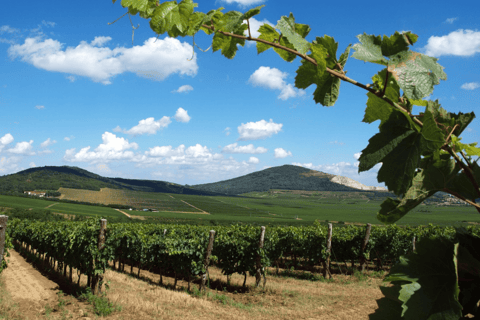 مطار تيرانا: خدمة نقل خاصة إلى أفضل الوجهات في ألبانيامطار تيرانا/المدينة/دوريس: النقل من/إلى هيمار