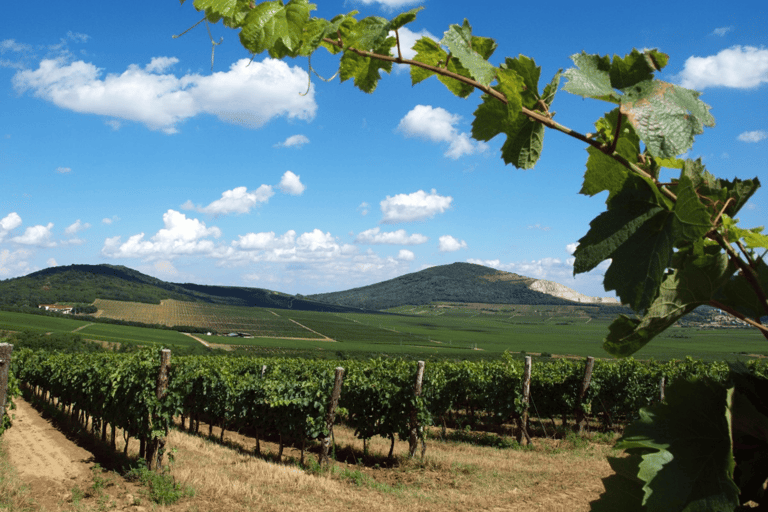 مطار تيرانا: خدمة نقل خاصة إلى أفضل الوجهات في ألبانيامطار تيرانا/المدينة/دوريس: النقل من/إلى هيمار