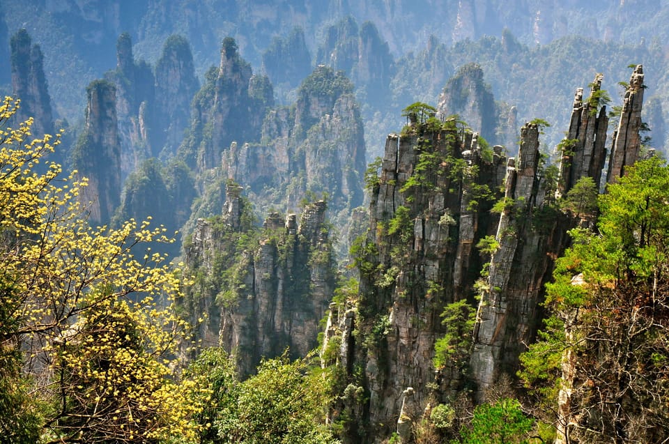 Zhangjiajie National Forest Park Private Tagestour GetYourGuide