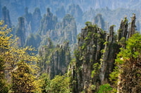 Zhangjiajie National Forest Park, tour del giorno privato - Housity