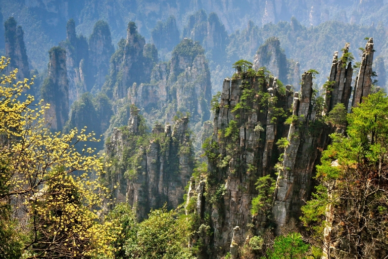 Zhangjiajie National Waldpark: Private Tagestour