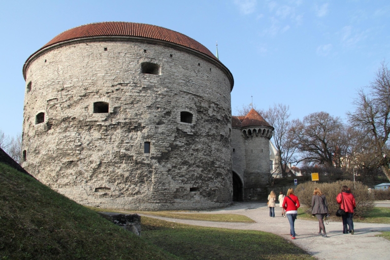 Tallinn: excursion à terre avec transfert aller-retour