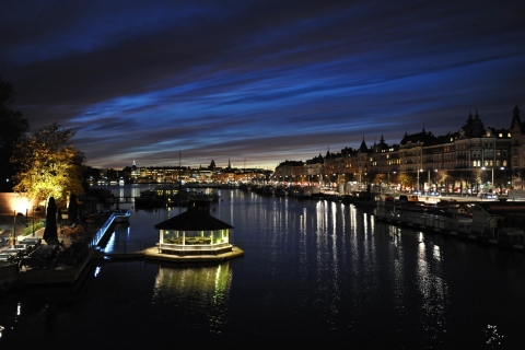 Bienvenidos a Estocolmo: tour privado con un guía localTour de bienvenida de 2 horas de Estocolmo