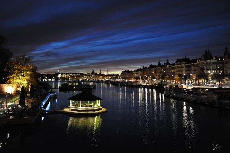 Bienvenidos a Estocolmo: tour privado con un guía localTour de bienvenida de 6 horas de Estocolmo