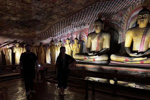 Sigiriya, Dambulla, 2 day tour with Minneriya safari