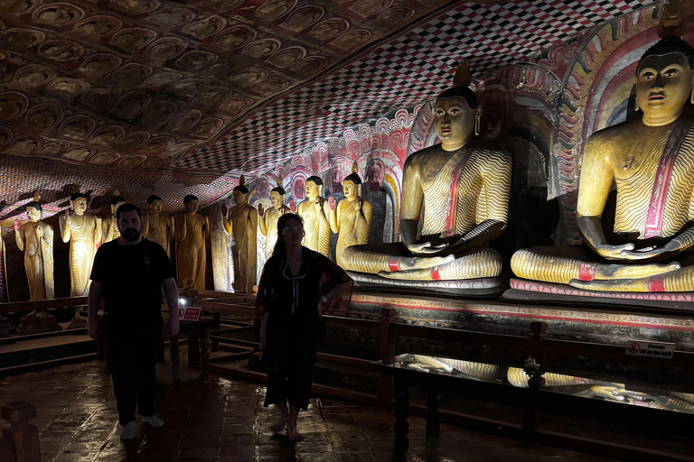 Sigiriya, Dambulla, 2 day tour with Minneriya safari