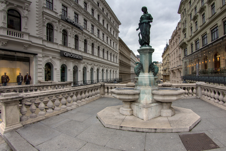 Vienna Welcome Tour: Private Walking Tour with a Local Guide4-Hour Tour