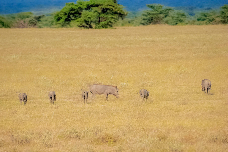 Samburu National Reserve 3-Day Safari from Nairobi