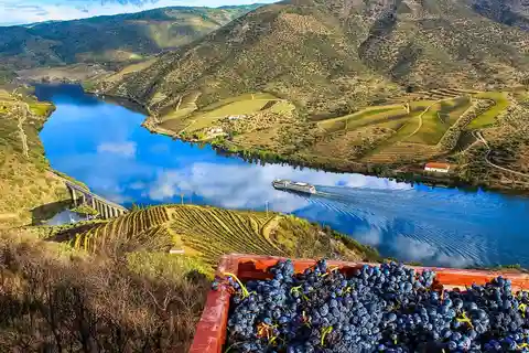 Privétour: Wijn en eten uit de Dourovallei vanuit Porto