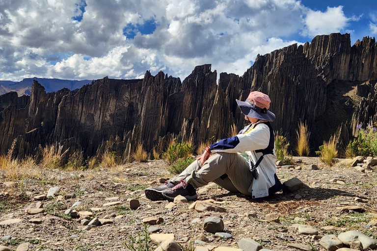 Discover the Valley of Souls and the Majestic Palca Canyon in one day