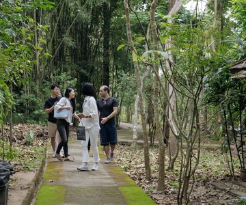 Chiang Mai: Nature and Nurture 1-Day All About Love Retreat