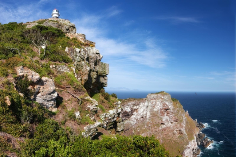 Ab Kapstadt: Kap-Halbinsel TagestourTour auf Englisch für Nicht-Ortsansässige