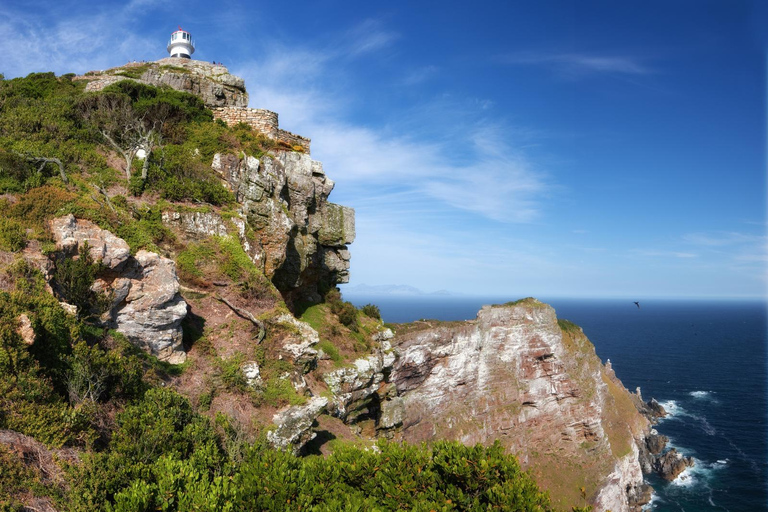 Cape Peninsula Full-Day Tour from Cape TownTour in English for Non-Residents