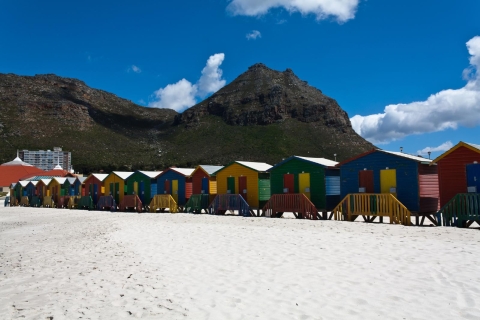 Péninsule du Cap  : excursion privée de 1 jour depuis Le CapVisite en anglais pour les non-résidents