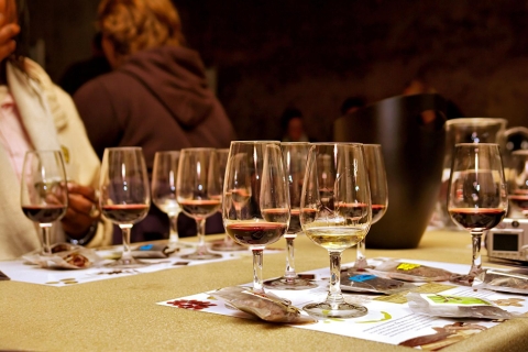 Kapsztad: Całodniowa wycieczka po regionie winiarskimKapsztad: 1-dniowa wycieczka po regionie win w j.ang i niem.