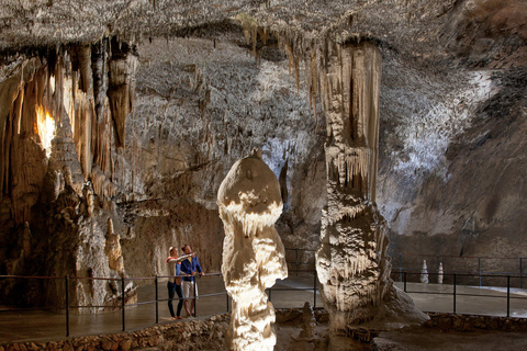 Van Ljubljana: Halve dag Postojna-grot en kasteel PredjamaVanuit Ljubljana: Postojna grotten & Predjama kasteel