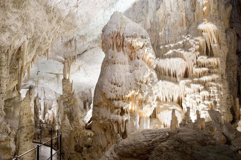 Ab Ljubljana: Postojna-Höhle & Predjama-Burg HalbtagAb Ljubljana: Höhle von Postojna & Burg Predjama