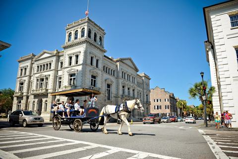 Charleston: Tour in carrozza della storia infestata del centro città di seraTour serale in carrozza della storia stregata di Charleston