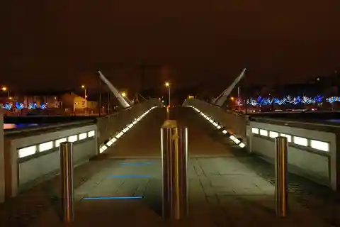 Dublin Welcome Tour: Prywatna wycieczka z lokalnym przewodnikiem