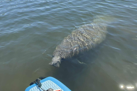Three Sisters Clear Kayak and Snorkeling Manatee Tour