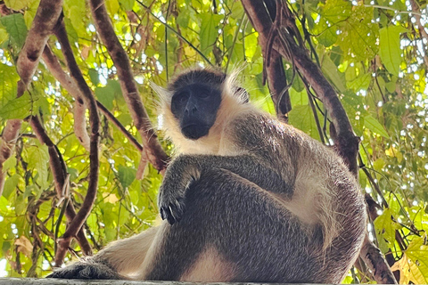 Barbados: Prywatna widokowa wycieczka z przewodnikiem