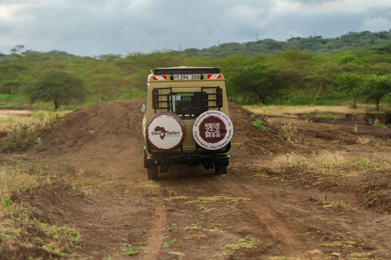 4-Day Fly-in Zanzibar & Fly-out Arusha Bush to Beach Safari