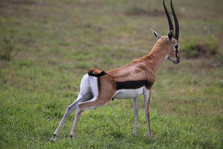 Excursión de un día al Monte Longonot desde Nairobi