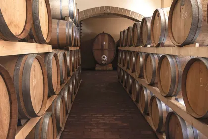 Von Palermo: Private Tour & sizilianische Weinprobe