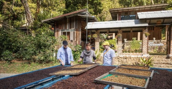 Chiang Mai: Coffee Process & Tasting – From Cherry to Cup