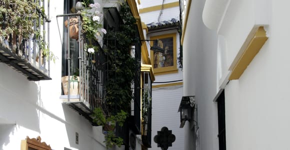 Seville: Santa Cruz, Cathedral, and Giralda Guided Tour