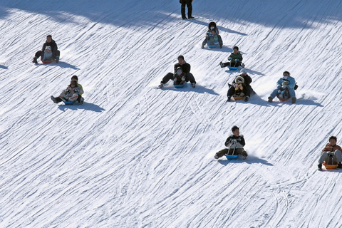 Seoul: Strawberry Farm &amp; Winter Sled &amp; Eobi Ice ValleyShared Tour - Meet at DDP Station