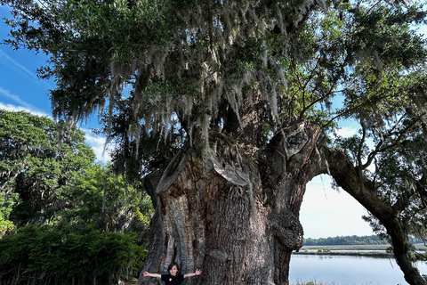 Charleston: Middleton Place: tour guiado com almoço