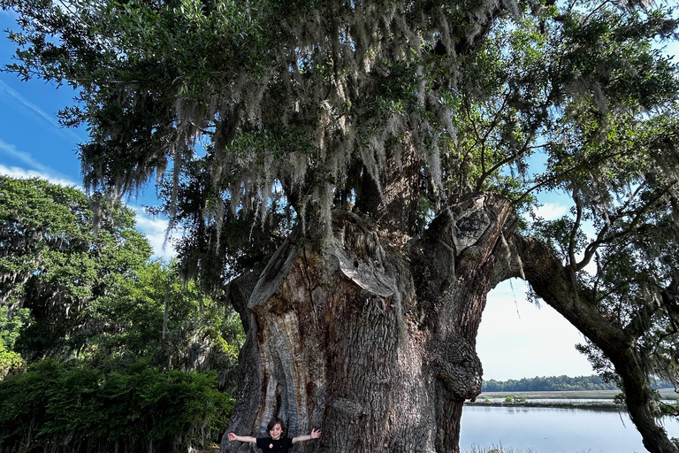 Charleston: Wycieczka z przewodnikiem po Middleton Place z lunchem