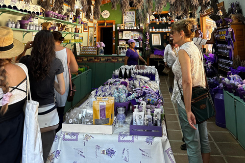 Lavender Ranch, Chautla and Val`Quirico. Private tour