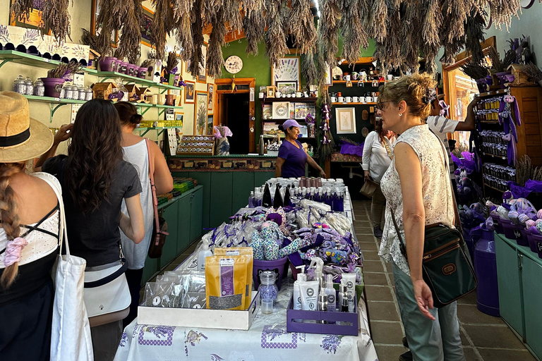 Lavender Ranch, Chautla and Val`Quirico. Private tour