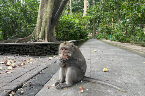 Bali: Private Ubud Highlights Tour with Customized Tour Temple, Monkey Forest, Waterfalls, & More (Without Tickets)
