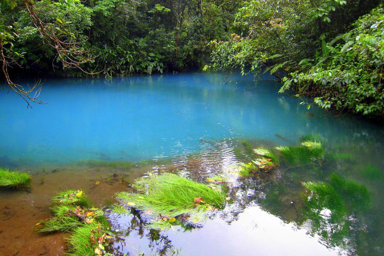 From La Fortuna: Rio Celeste Full-Day Tour