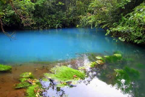 From La Fortuna: Rio Celeste Full-Day Tour