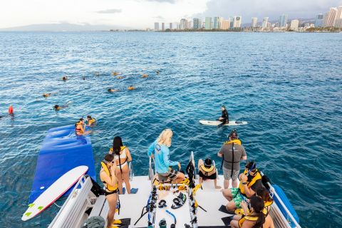 Waikiki: Turtle Canyons Cruise og Snorkel Ekskursjon