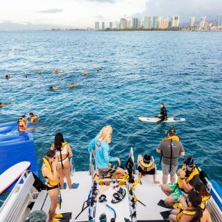 Waikiki: crucero y esnórquel en los cañones de las tortugas