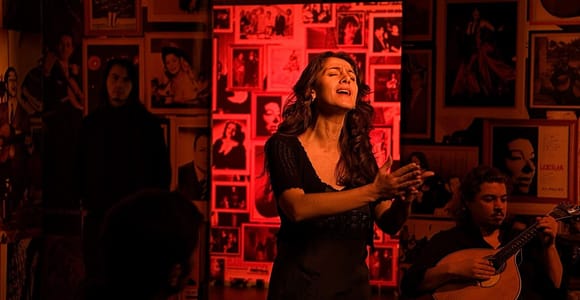 Lisbon: Half-Day Night Group Tour w/ Fado Dinner Show