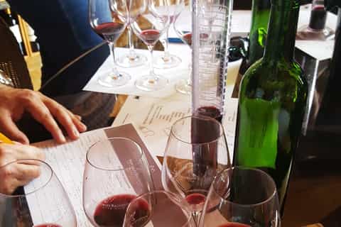 Cognac Distillery and Bordeaux Winery: Private Tour