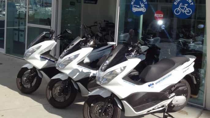 porto gaia halfday/ fullday scooter tour
