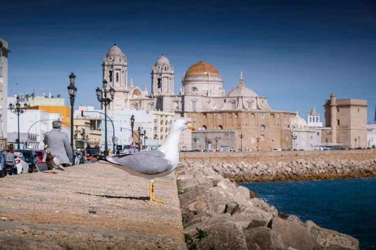 Sightseeing tour to Cadiz from Seville