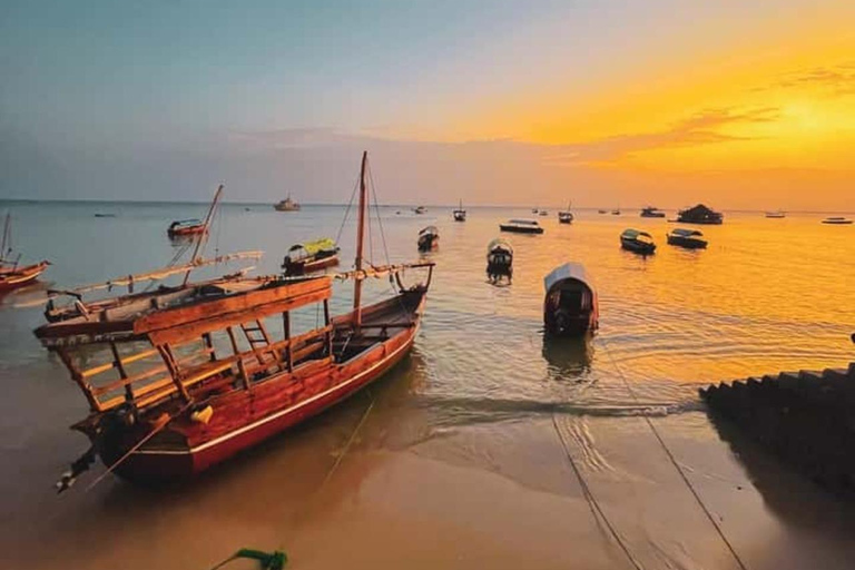 Zanzibar: Stone Town Walking Tour with Guide No Transfer no Entry fee