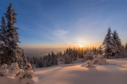 Desde Sofía: Excursión con raquetas de nieve por la montaña Vitosha