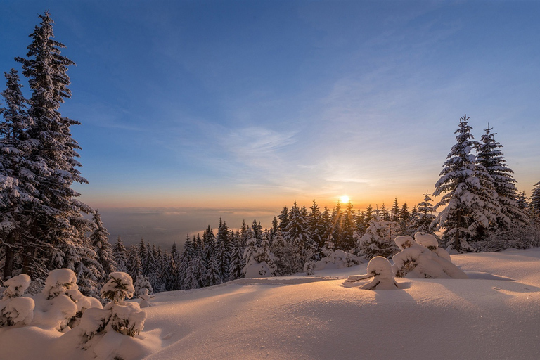 Depuis Sofia : Randonnée en raquettes sur le mont Vitosha